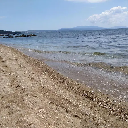 στην πόλη Lejlighed *