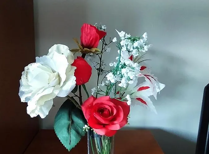 στην πόλη Metamórfosi