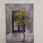 Appartement στην πόλη